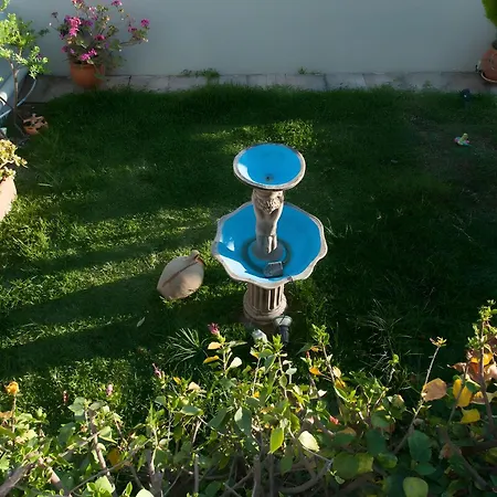 Happy Holidays Messinia * カラマタ